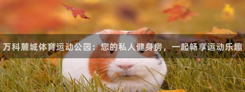 球友会体育：万科麓城体育运动公园：您的私人健身房，一起畅享运动乐趣