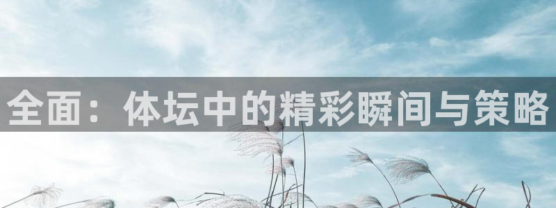 qy千亿球友会体育：全面：体坛中的精彩瞬间与策略